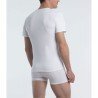 Camiseta Hombre ABANDERADO 40W-ENCANTOS.ES