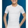 Camiseta Termal Abanderado Niño 252